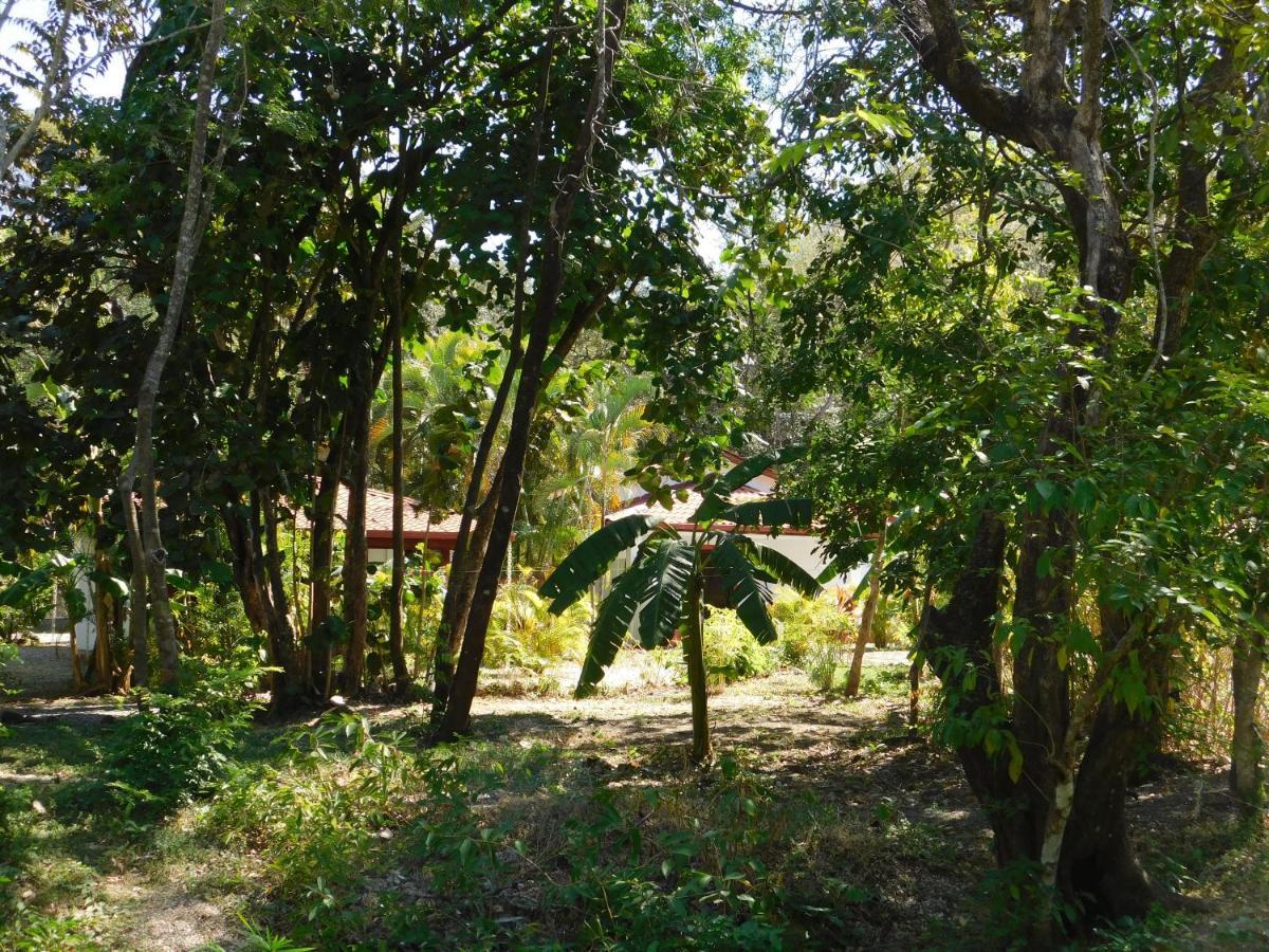 Sámara Villasjungle 1 מראה חיצוני תמונה
