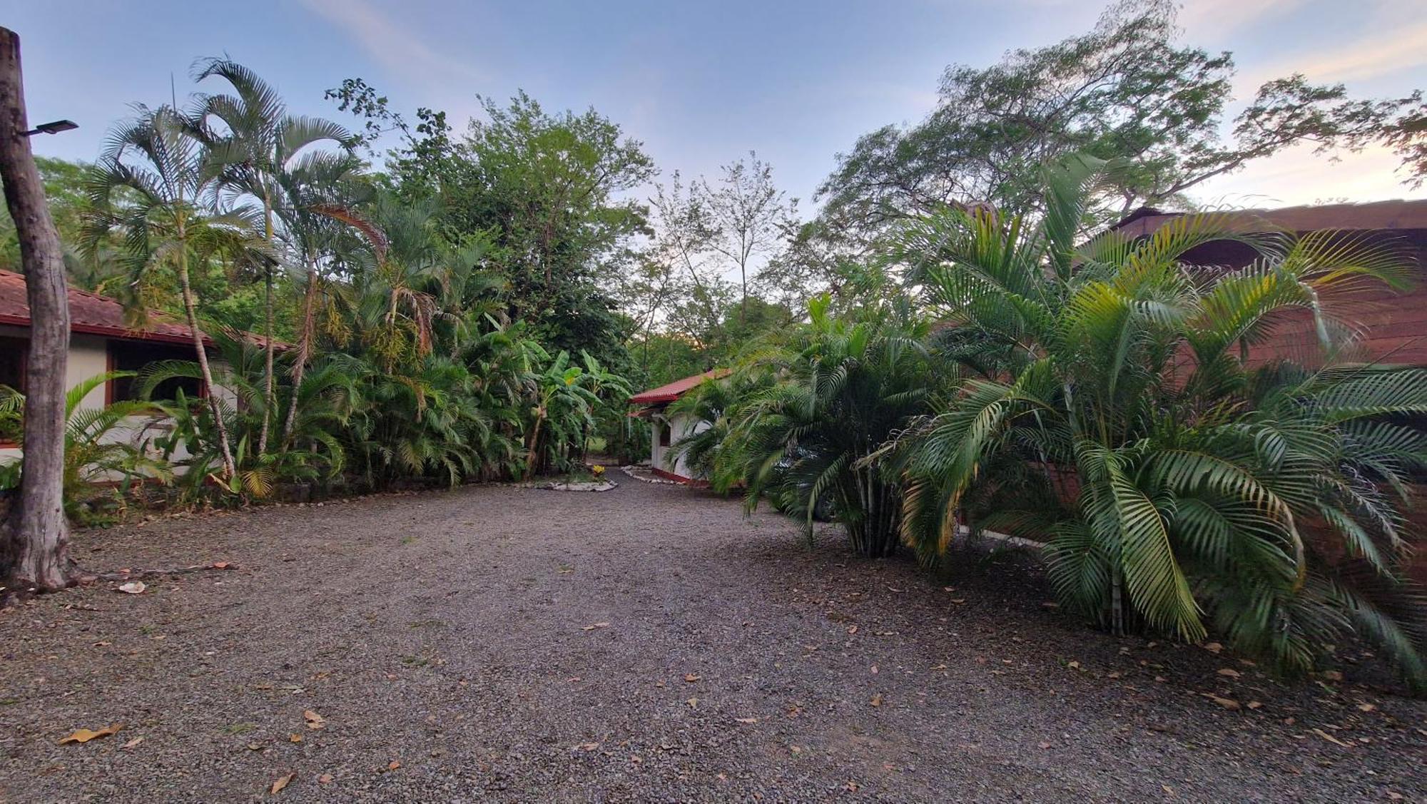 Sámara Villasjungle 1 מראה חיצוני תמונה
